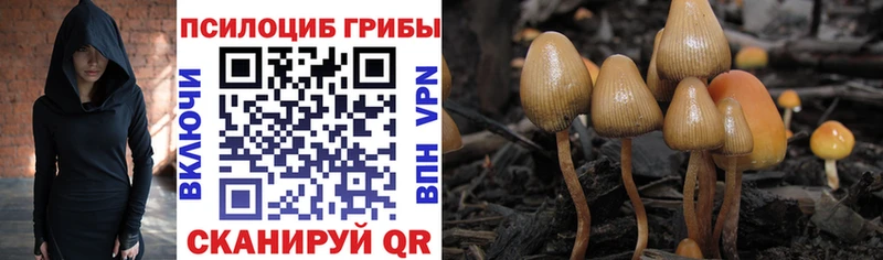 Купить где  Сковородино  Галлюциногенные грибы ЛСД 