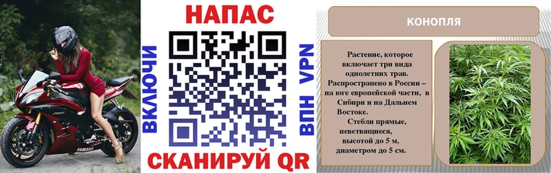 Бошки Шишки марихуана  Купить закладки  Сковородино 